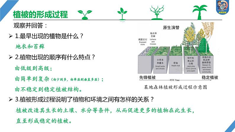 最新高考地理一轮复习（新人教版） 第1部分  第6章 第1讲 课时35　植被【课件+讲义+练习】08