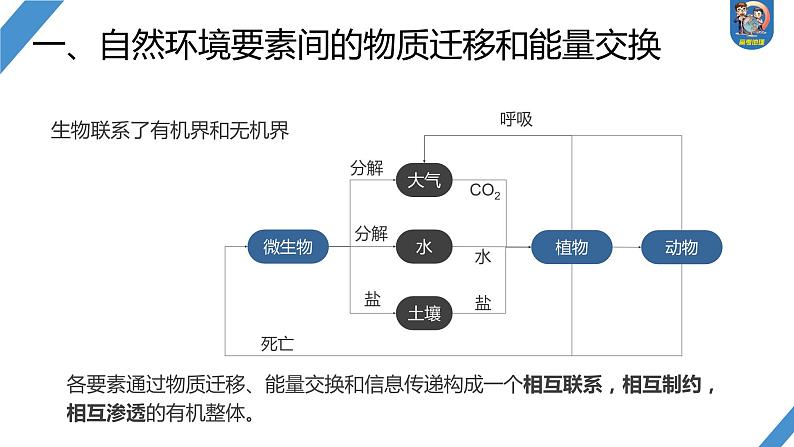 2024年高考地理一轮复习（新人教版） 第1部分  第6章 第1讲 课时37　整体性第6页