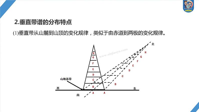 最新高考地理一轮复习（新人教版） 第1部分  第6章 第2讲 课时39　垂直地域分异规律【课件+讲义+练习】07