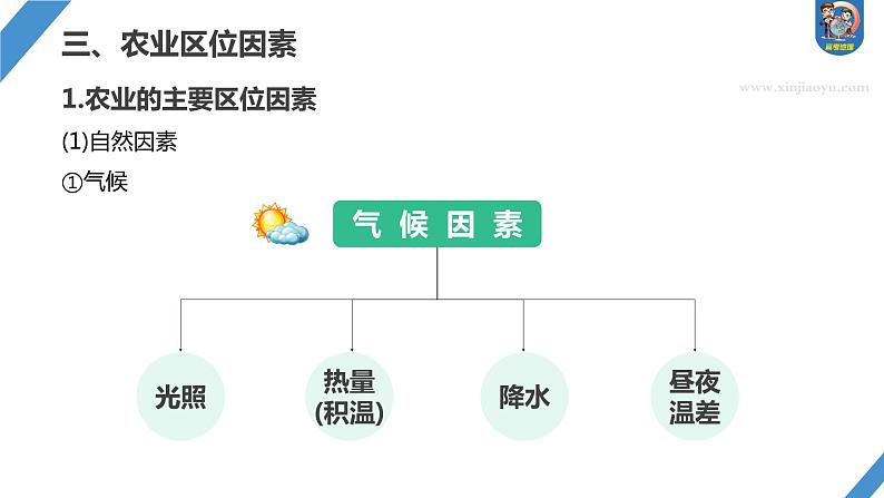 最新高考地理一轮复习（新人教版） 第2部分　第3章　第1讲　课时48　农业区位因素【课件+讲义+练习】07