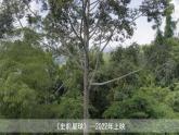 人教2019版高中地理必修一 1.3 地球的歷史（內(nèi)嵌視頻）課件PPT