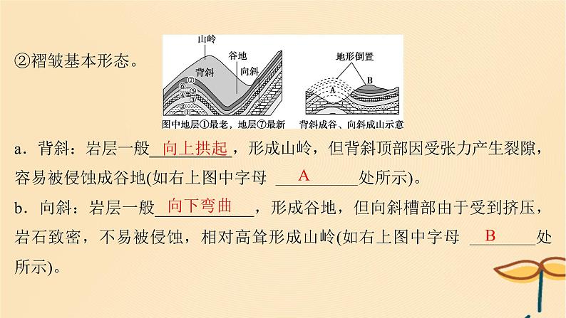 2025届高考地理一轮总复习第一模块自然地理第五章地貌第15讲构造地貌的形成课件第5页