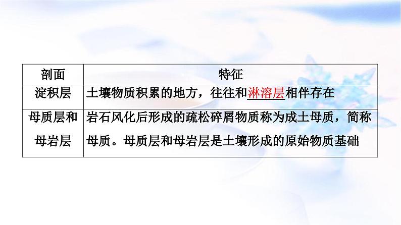 中图版高中地理必修第一册第2章第6节土壤的主要形成因素课件07
