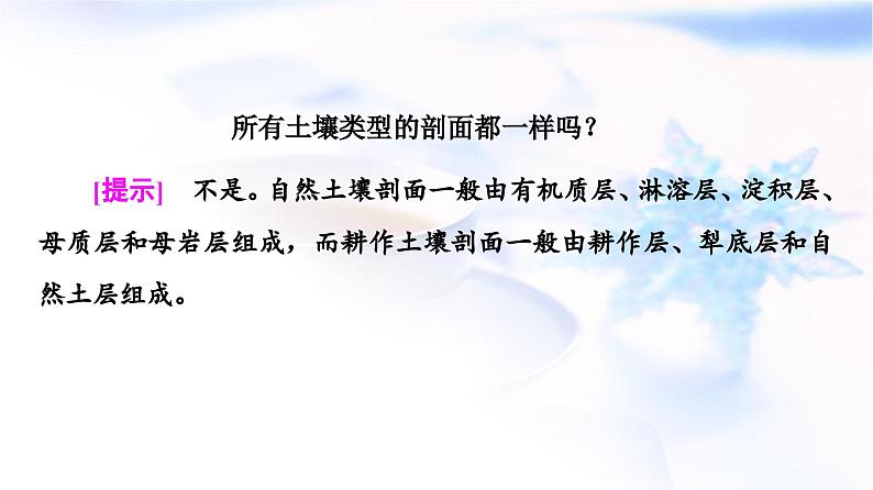 中图版高中地理必修第一册第2章第6节土壤的主要形成因素课件08
