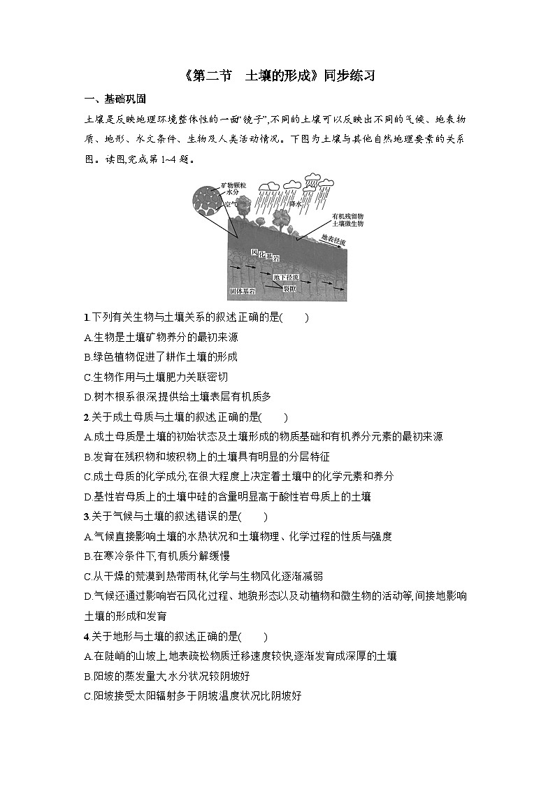 5.2 土壤的形成同步练习  湘教版（2019）高中地理必修第一册第1页