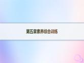 2025年高中地理第5章自然环境的整体性与差异性素养综合训练课件新人教版选择性必修1