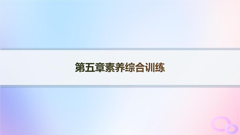 2025年高中地理第5章自然环境的整体性与差异性素养综合训练课件新人教版选择性必修1第1页