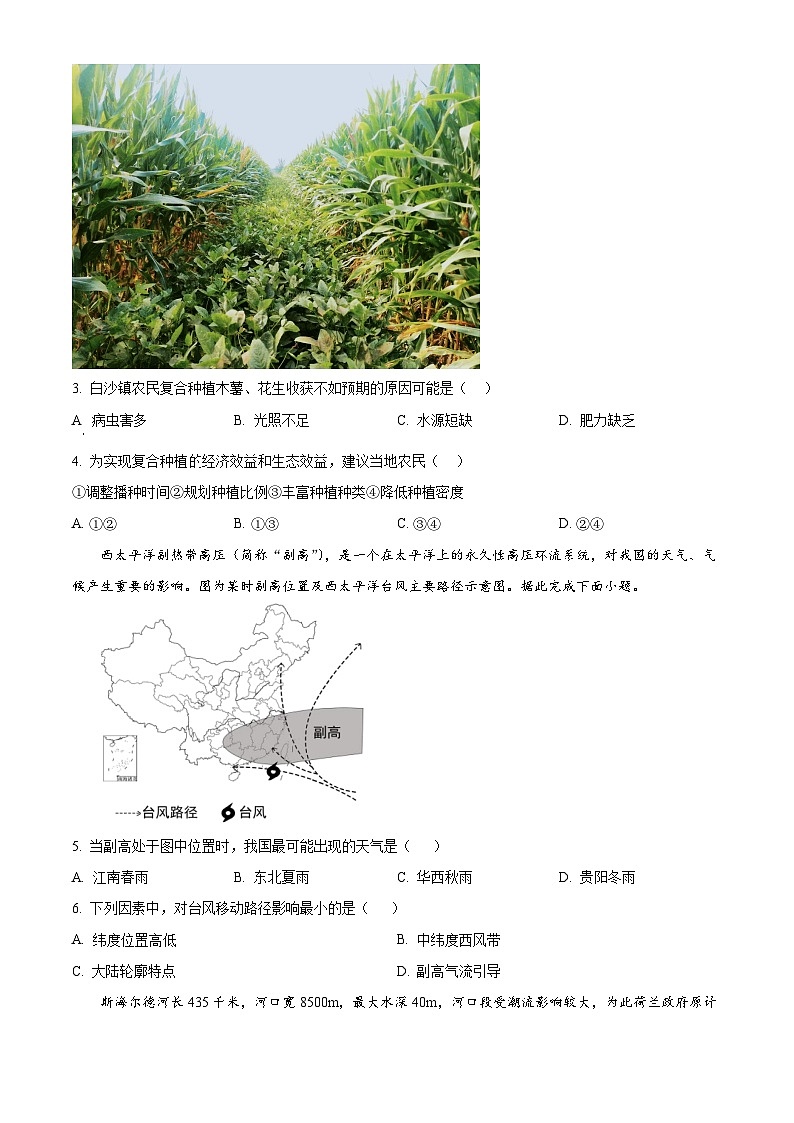 重庆市渝中区2023-2024学年高三下学期5月模拟地理试题（学生版+教师版）02