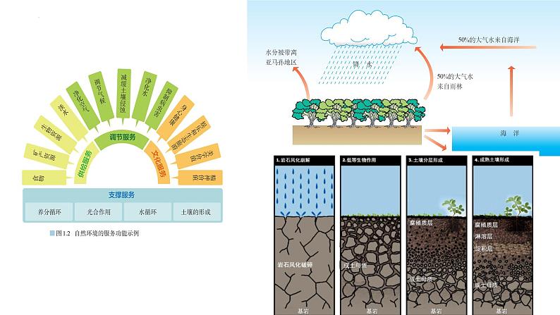 人教版高中地理选必三第一章第一节自然环境的服务功能课件（共1课时内含视频）第5页
