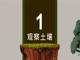 人教版（2019）必修一 第五章第二节 土壤课件