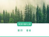 人教版（2019）必修一 第五章第一节 植被课件