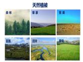 人教版（2019）必修一 第五章第一节 植被课件