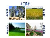 人教版（2019）必修一 第五章第一节 植被课件