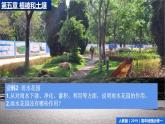 人教版（2019）必修一 第五章问题研究 如何让城市不再“看海”课件