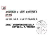 鲁教版地理 必修一3.4分析土壤形成的原因 课件