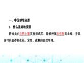 中图版高中地理选择性必修3第2章第1节中国耕地资源与粮食安全课件