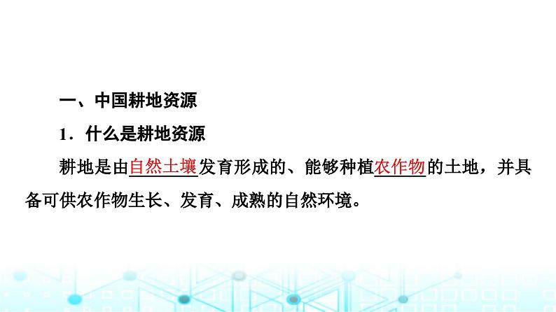 中图版高中地理选择性必修3第2章第1节中国耕地资源与粮食安全课件04