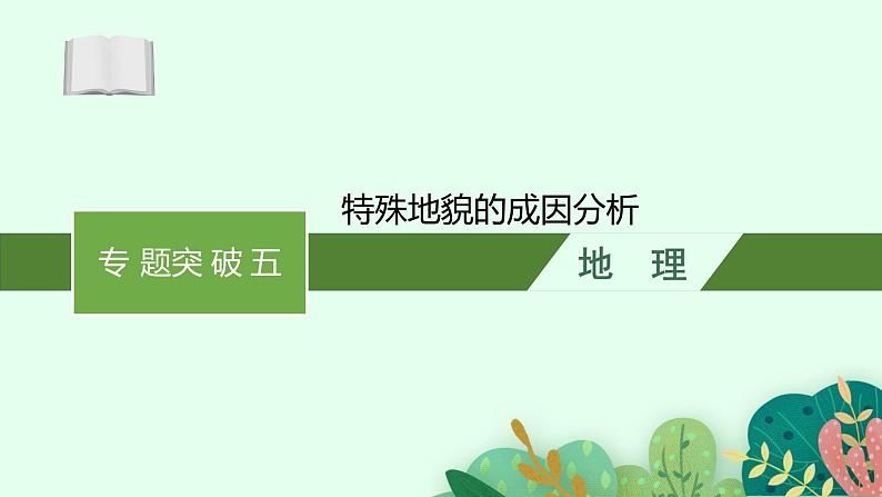 2025届人教新高考高三地理一轮复习课件专题突破五特殊地貌的成因分析01