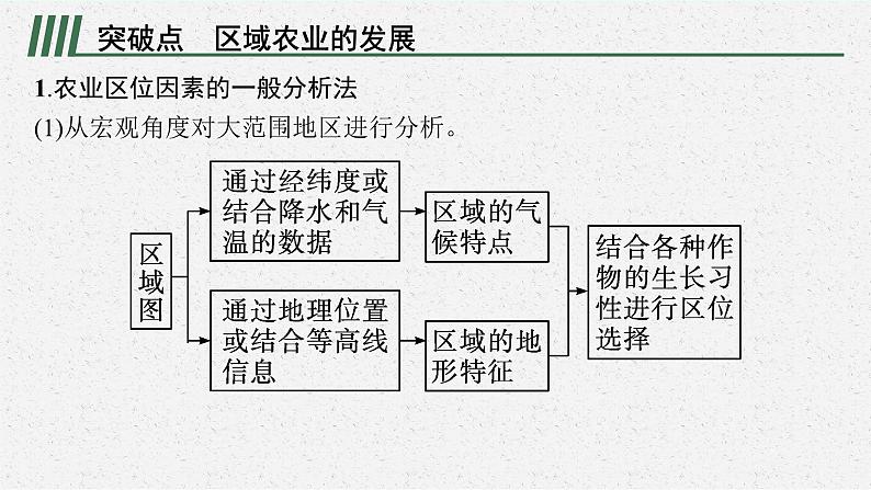 2025届人教新高考高三地理一轮复习课件专题突破七区域农业的发展第2页