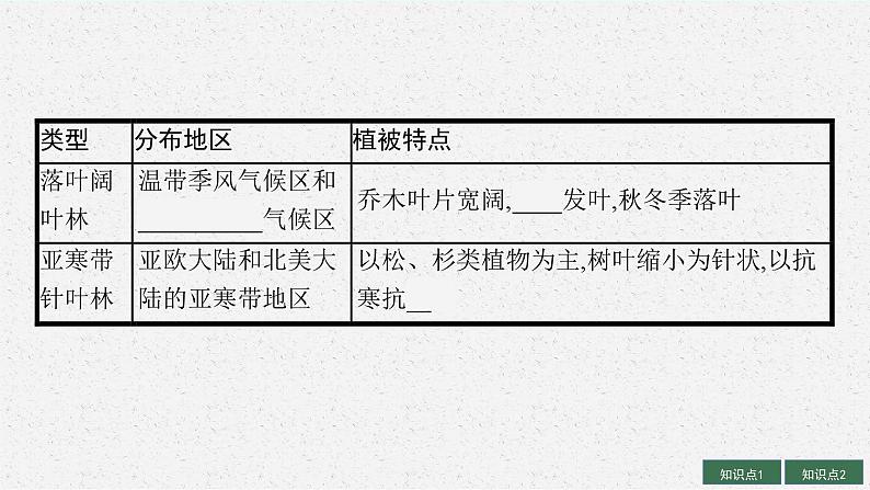 2025届人教新高考高三地理一轮复习课件第1讲植被与土壤第8页