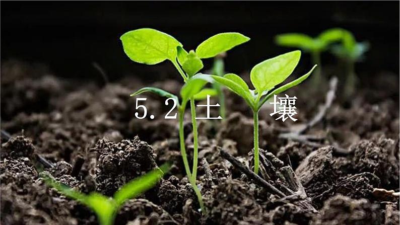 5.2 土壤第二课时课件第1页