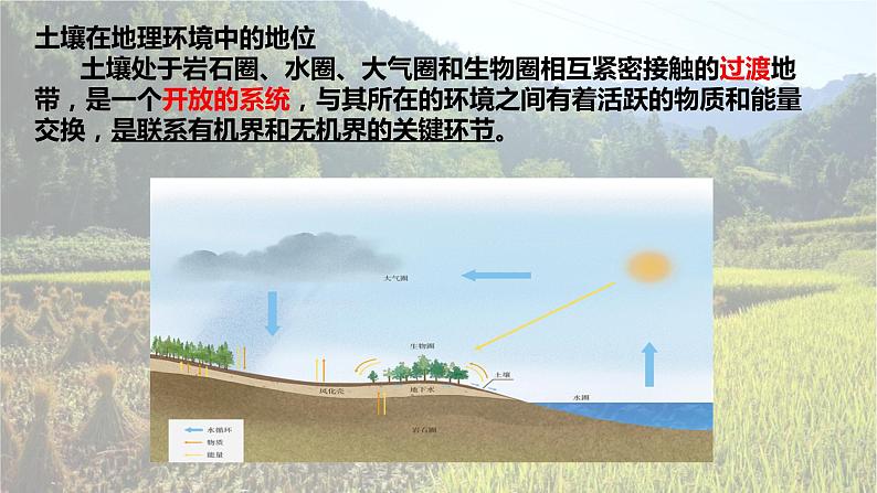 5.2 土壤第二课时课件第3页