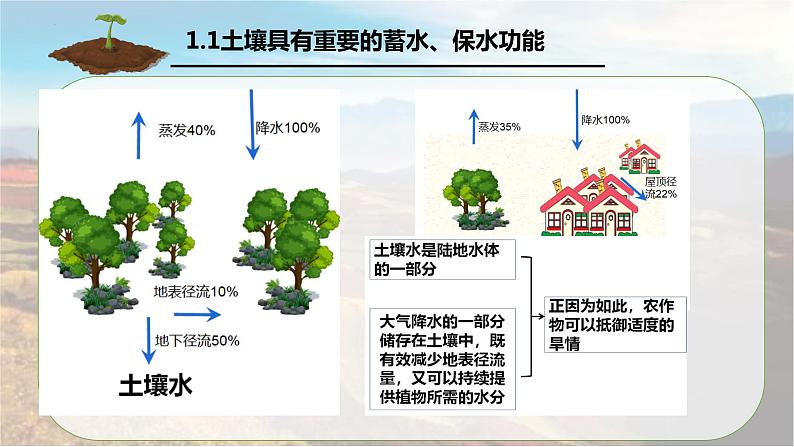 5.2 土壤第二课时课件第4页