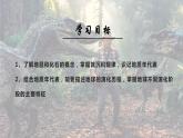 1.3地球的历史课件2