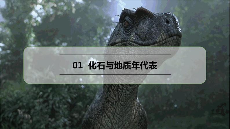 1.3地球的历史课件205