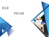 5.3中国国家发展战略举例课件1