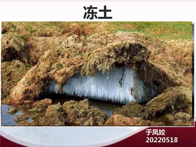 2024年高考地理一轮复习课件   冻土第1页