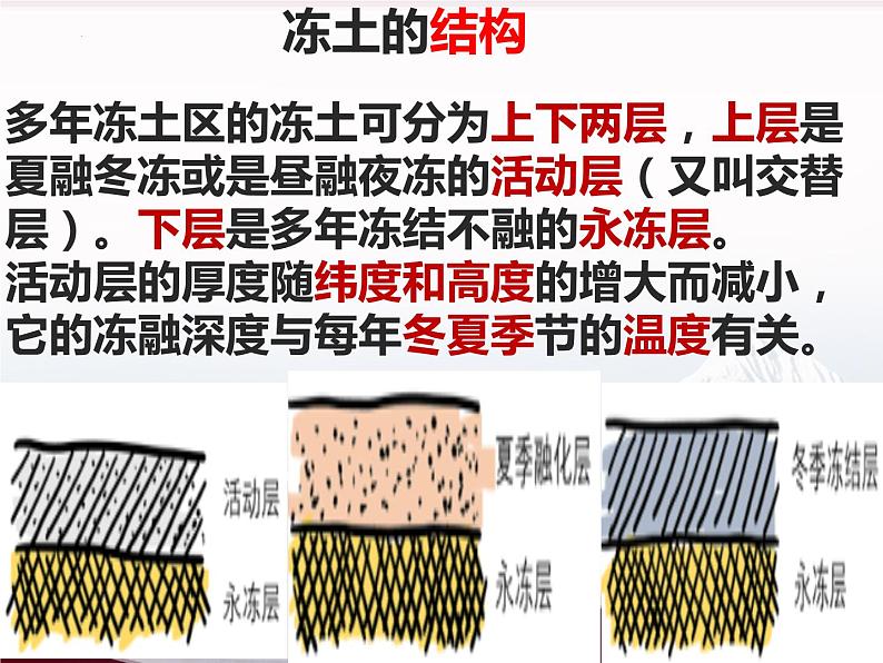 2024年高考地理一轮复习课件   冻土第4页