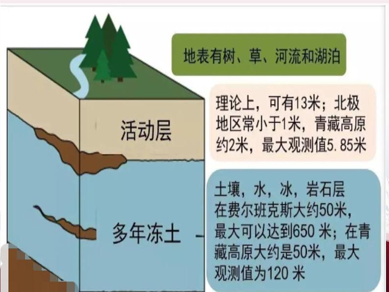 2024年高考地理一轮复习课件   冻土第6页