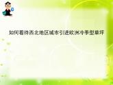 問題研究 如何看待我國西北地區(qū)城市引進歐洲冷季型草坪課件5