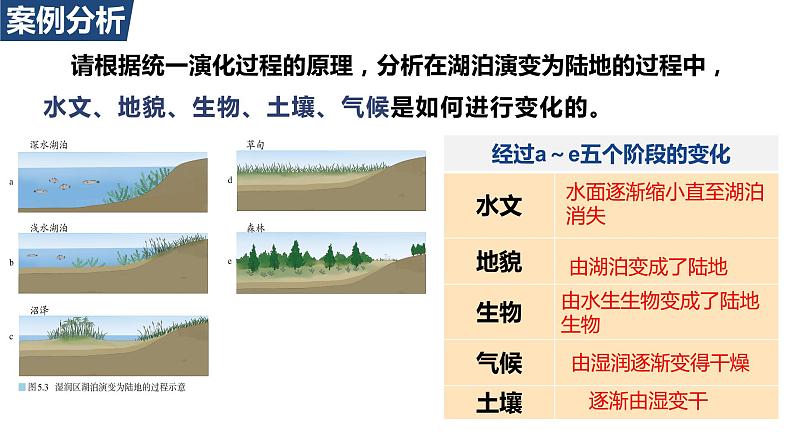 5.1 自然环境的整体性第二课时课件第5页