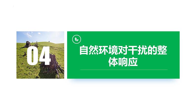 5.1 自然环境的整体性第二课时课件第6页