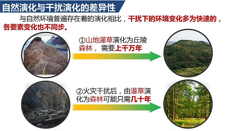 5.1 自然环境的整体性第二课时课件第8页