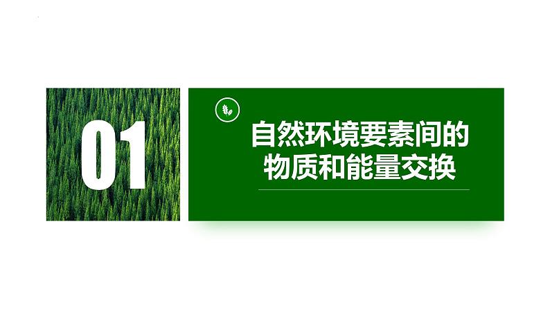 5.1 自然环境的整体性第一课时课件第6页