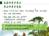 5.1 自然环境的整体性课件1