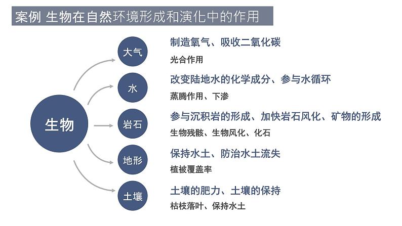 5.1 自然环境的整体性课件1第7页