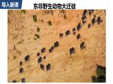 3.3 气压带和风带对气候的影响课件1