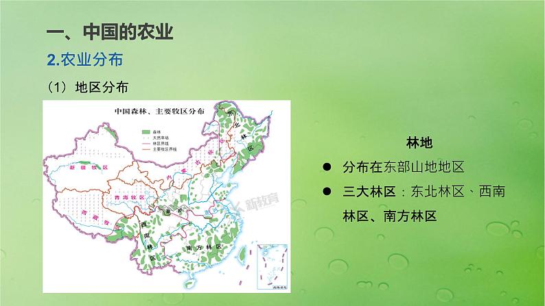 2024届湘教版新教材高考地理一轮复习第五部分区域地理第二章中国地理第1讲课时87中国人文地理特征课件05