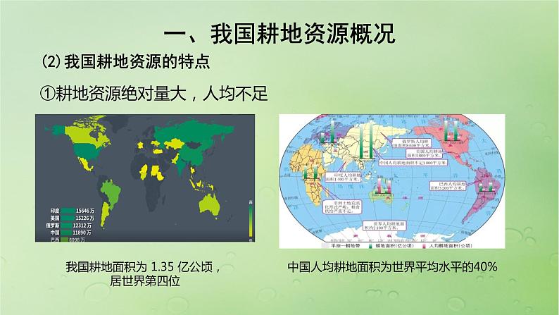 2024届湘教版新教材高考地理一轮复习第四部分第二章自然资源与国家安全课时71耕地资源与国家粮食安全课件04