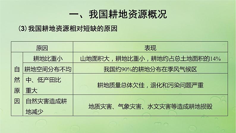 2024届湘教版新教材高考地理一轮复习第四部分第二章自然资源与国家安全课时71耕地资源与国家粮食安全课件08