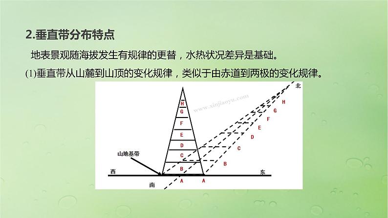 2024届湘教版新教材高考地理一轮复习第一部分自然地理第六章自然环境的整体性与差异性第2讲课时38垂直分异规律课件第7页