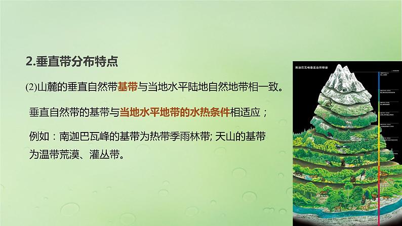 2024届湘教版新教材高考地理一轮复习第一部分自然地理第六章自然环境的整体性与差异性第2讲课时38垂直分异规律课件第8页