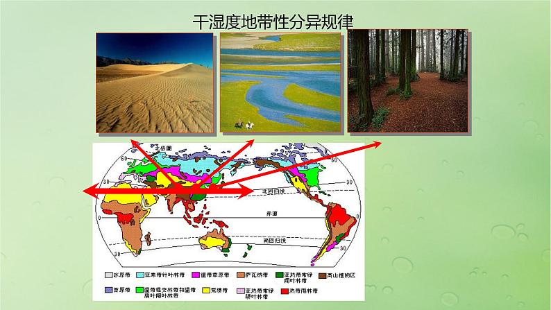 2024届湘教版新教材高考地理一轮复习第一部分第六章第2讲课时37水平分异规律和地方性分异规律课件第7页