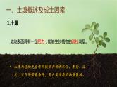 2024届湘教版新教材高考地理一轮复习第一部分自然地理第六章自然环境的整体性与差异性第1讲课时35土壤的形成课件