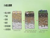 2024届湘教版新教材高考地理一轮复习第一部分自然地理第六章自然环境的整体性与差异性第1讲课时35土壤的形成课件