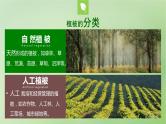 2024届湘教版新教材高考地理一轮复习第一部分第六章自然环境的整体性与差异性第1讲课时34主要植被与自然环境课件